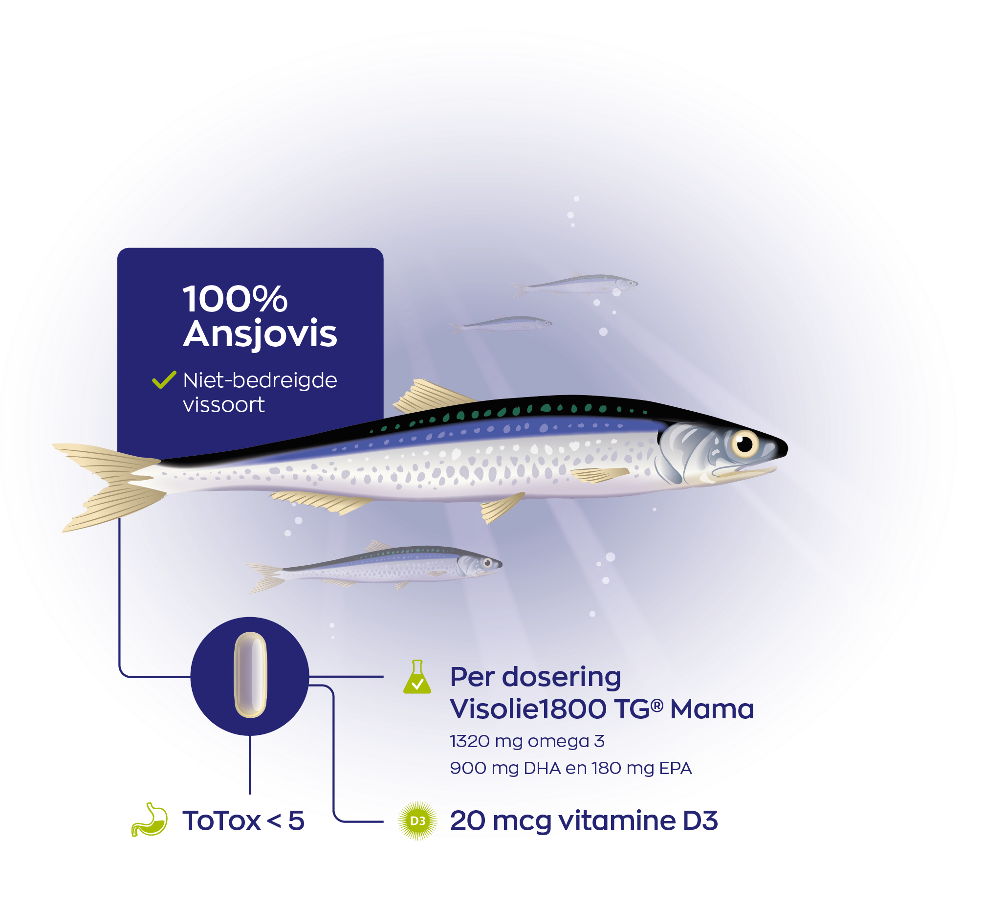 infographic Visolie 1800 TG® Mama Inhoudelijk