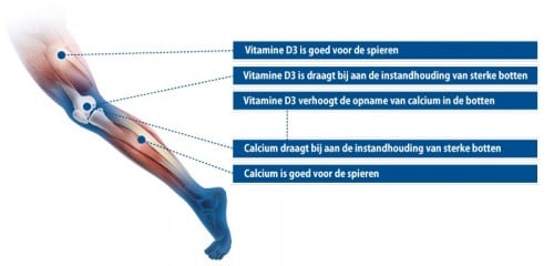 Werking Vitamine D3 & Calcium
