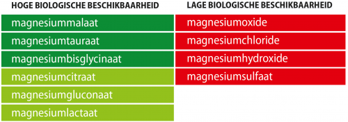 Opneembaarheid Magnesium Vormen