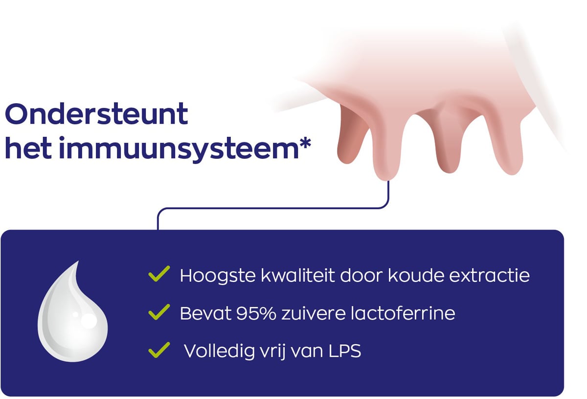 Lactoferrine infographic