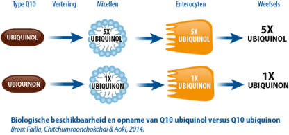 Ubiquinol vs Ubiquinon